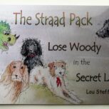 Yr 2 Reading The Straad Pack Lose Woody in the Secret Land Home Learning