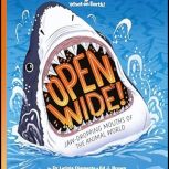LKS2 Whole Class Reading Open Wide