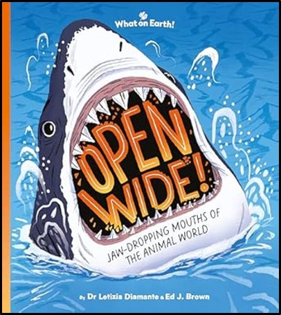 Open Wide cover Open Wide cover
